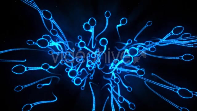 Sperm Swimming in 3D Videohive 15199176 Motion Graphics Image 5