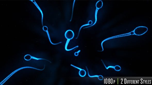 Sperm Swimming in 3D - Videohive 15199176 Download