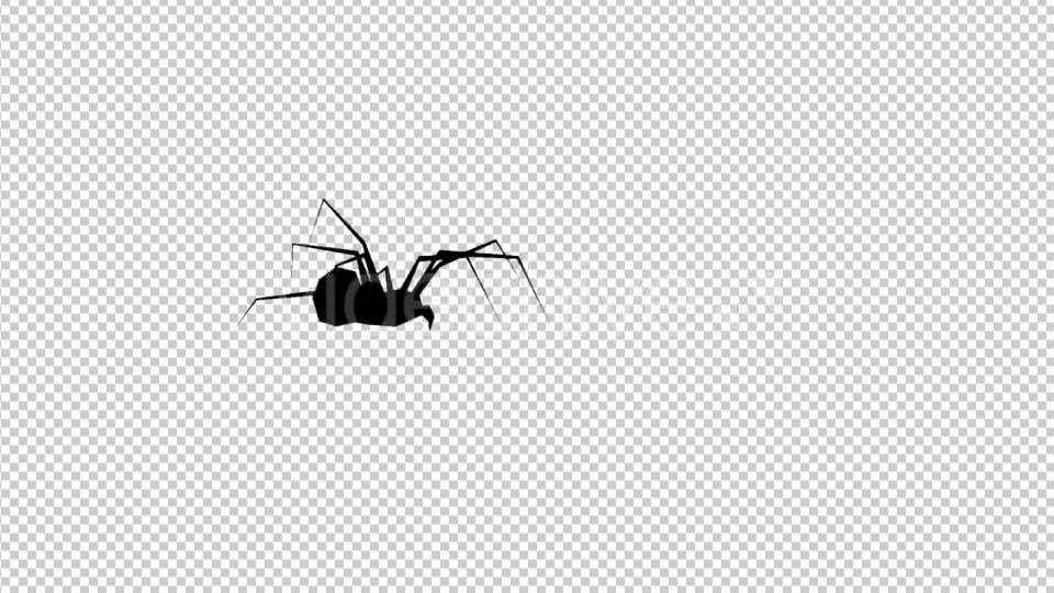 Spider Silhouette Walk Videohive 19904396 Motion Graphics Image 3
