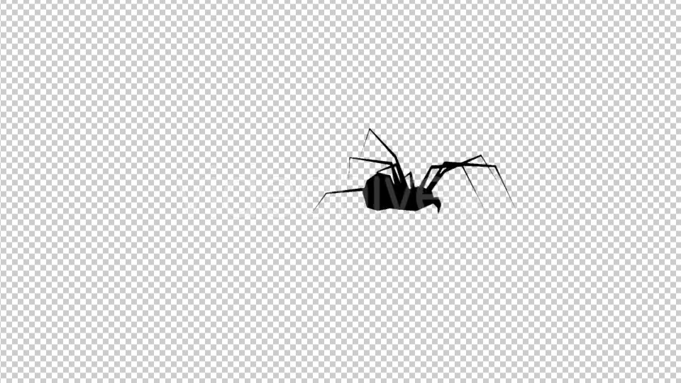 Spider Silhouette Walk Videohive 19904396 Motion Graphics Image 4