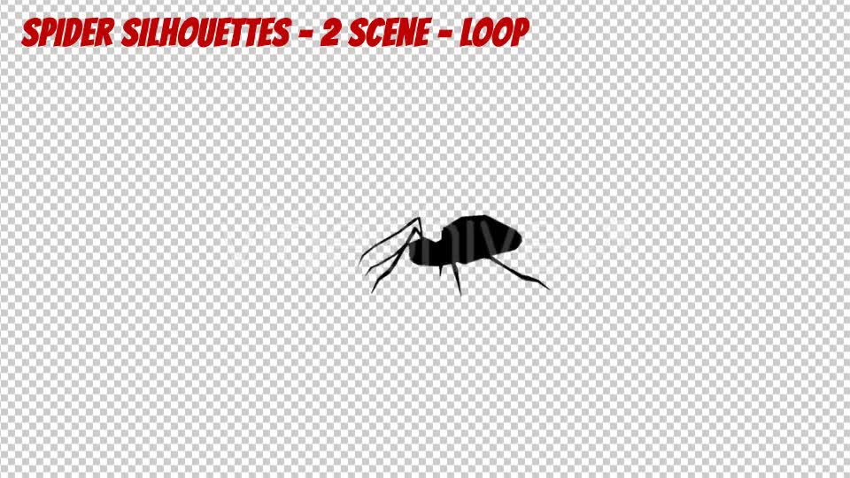 Spider Silhouettes 2 Scene Videohive 19900055 Motion Graphics Image 1