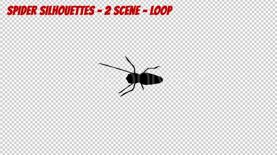 Spider Silhouettes 2 Scene Videohive 19900055 Motion Graphics Image 8