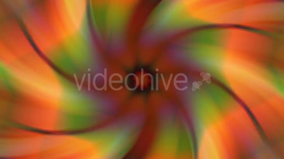 Spinning Colorful Floral Background Videohive 15852424 Motion Graphics Image 11