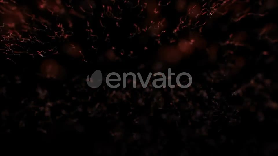 Spiral Particles Videohive 21458466 Motion Graphics Image 9