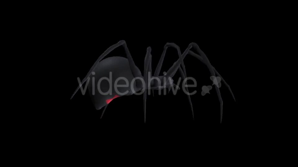 Spooky Spider Black Widow Walk Loop Pack of 6 Videohive 18379588 Motion Graphics Image 3