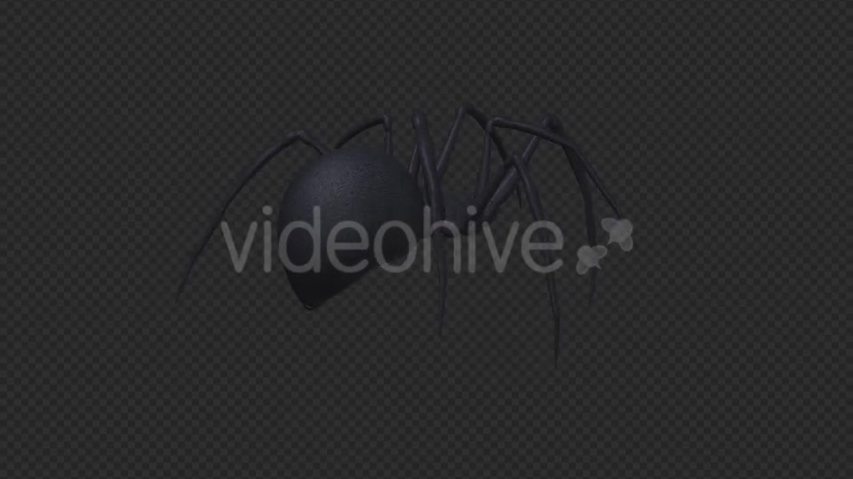 Spooky Spider Black Widow Walk Loop Pack of 6 Videohive 18379588 Motion Graphics Image 5