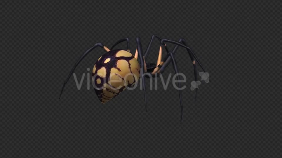 Spooky Spider Black Yellow Walk Loop Pack of 6 Videohive 18379609 Motion Graphics Image 5