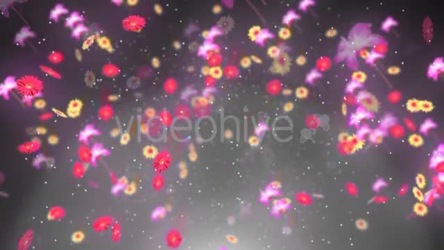 Spring Background 2 Videohive 19659080 Motion Graphics Image 1