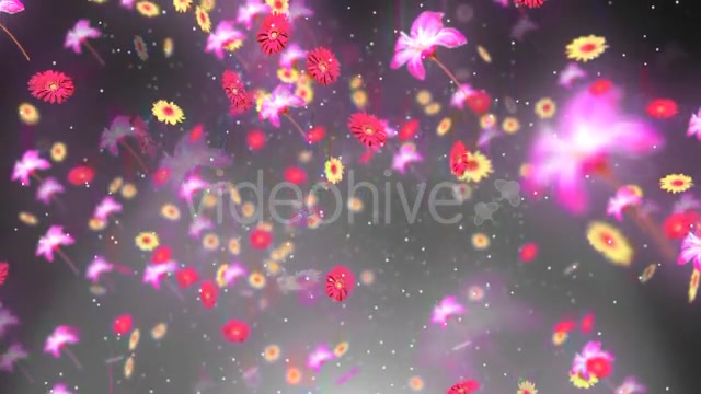 Spring Background 2 Videohive 19659080 Motion Graphics Image 10