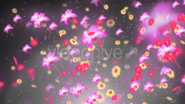 Spring Background 2 Videohive 19659080 Motion Graphics Image 2