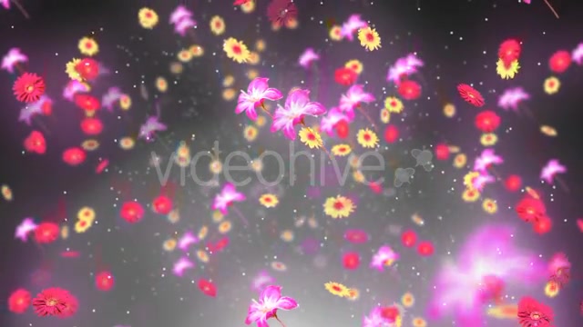Spring Background 2 Videohive 19659080 Motion Graphics Image 3