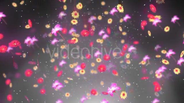 Spring Background 2 Videohive 19659080 Motion Graphics Image 4