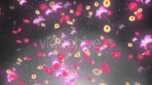 Spring Background 2 Videohive 19659080 Motion Graphics Image 5