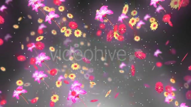 Spring Background 2 Videohive 19659080 Motion Graphics Image 6