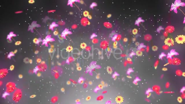 Spring Background 2 Videohive 19659080 Motion Graphics Image 7