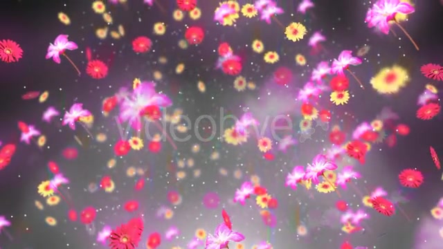 Spring Background 2 Videohive 19659080 Motion Graphics Image 8