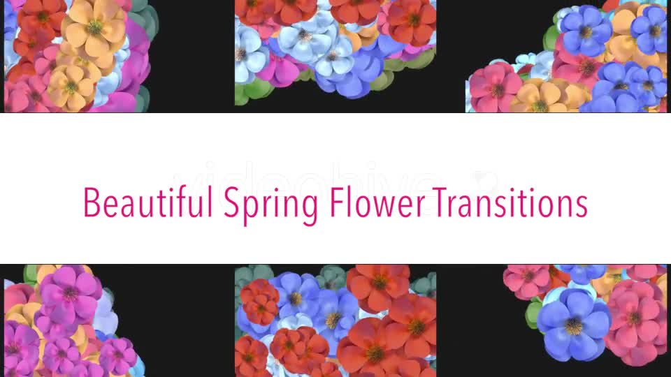 Spring Flower Transitions Videohive 19433096 Motion Graphics Image 1