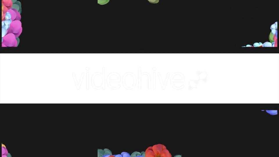 Spring Flower Transitions Videohive 19433096 Motion Graphics Image 3