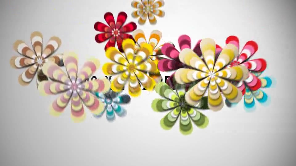Spring Flowers Transitions Videohive 17307004 Motion Graphics Image 5