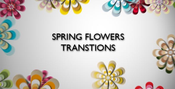 Spring Flowers Transitions - Videohive Download 17307004