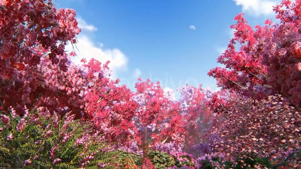 Spring Forest Videohive 21374854 Motion Graphics Image 5