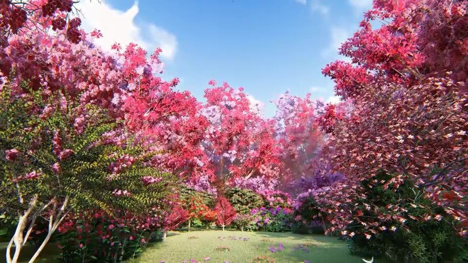 Spring Forest Videohive 21374854 Motion Graphics Image 6