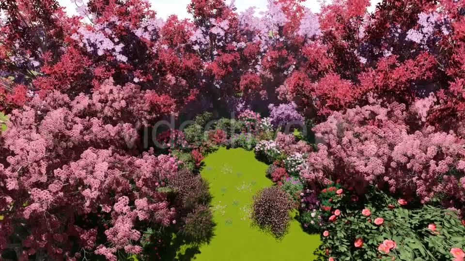 Spring Forest Videohive 21383518 Motion Graphics Image 1