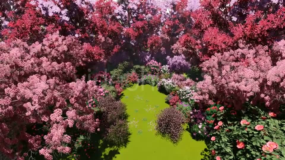 Spring Forest Videohive 21383518 Motion Graphics Image 2