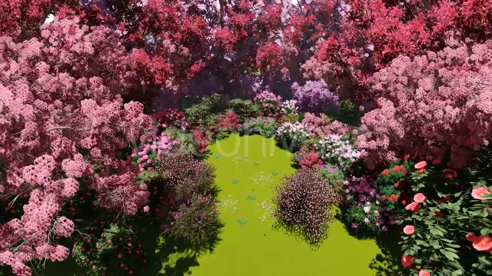 Spring Forest Videohive 21383518 Motion Graphics Image 3