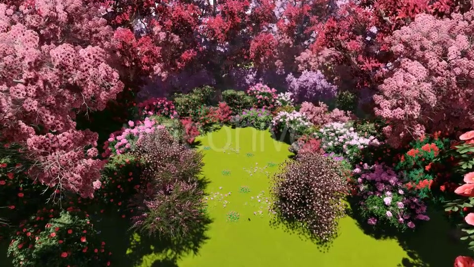 Spring Forest Videohive 21383518 Motion Graphics Image 4
