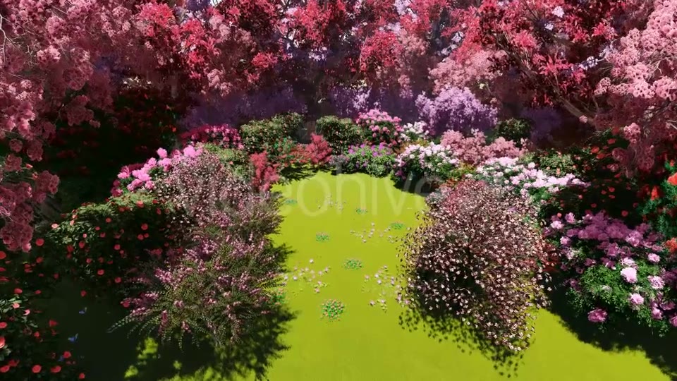 Spring Forest Videohive 21383518 Motion Graphics Image 5
