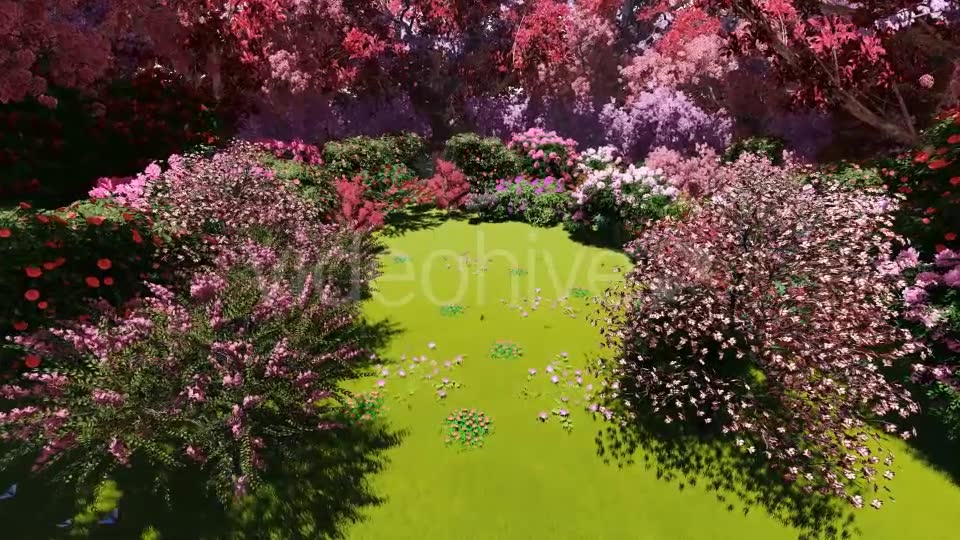 Spring Forest Videohive 21383518 Motion Graphics Image 6