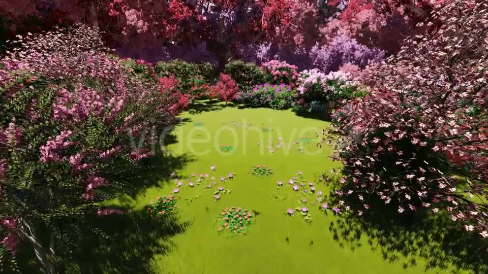 Spring Forest Videohive 21383518 Motion Graphics Image 7