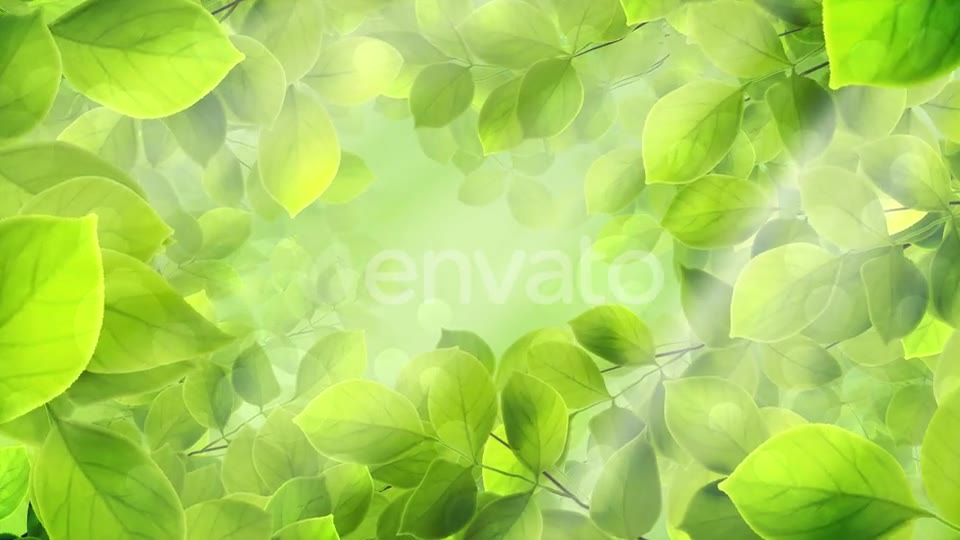 Spring Leaves Videohive 23661094 Motion Graphics Image 2