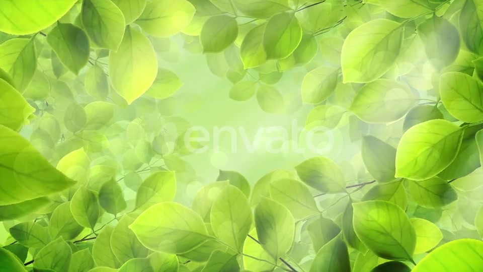 Spring Leaves Videohive 23661094 Motion Graphics Image 3
