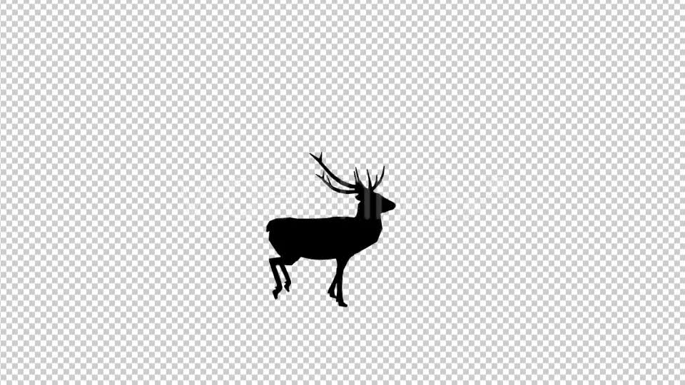 Stag Run Silhouette Videohive 19882041 Motion Graphics Image 1