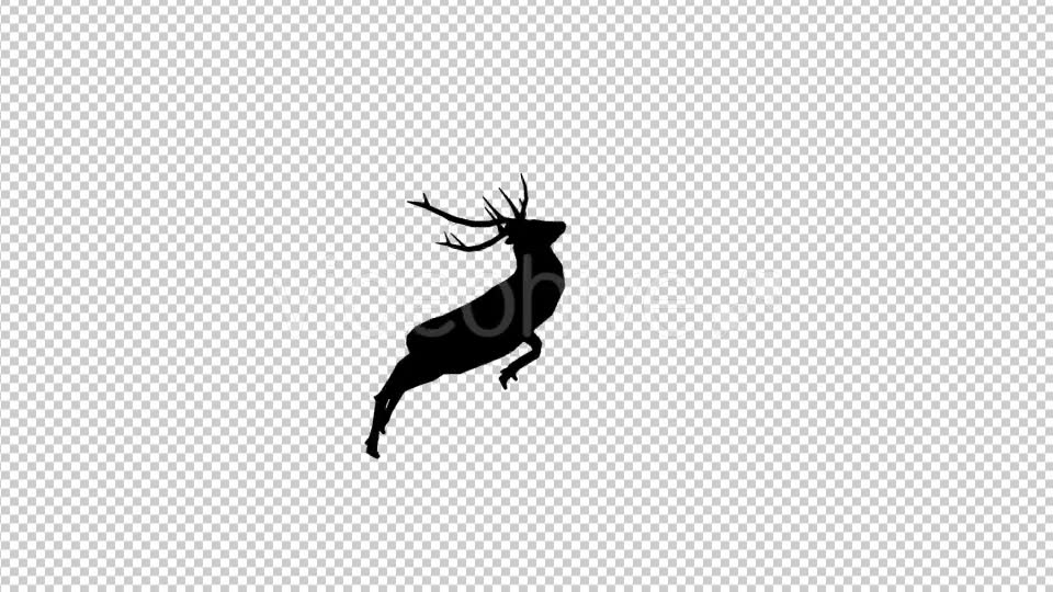 Stag Run Silhouette Videohive 19882041 Motion Graphics Image 2