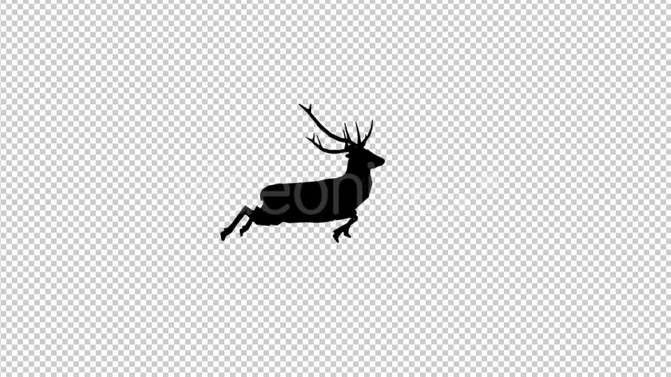 Stag Run Silhouette Videohive 19882041 Motion Graphics Image 3