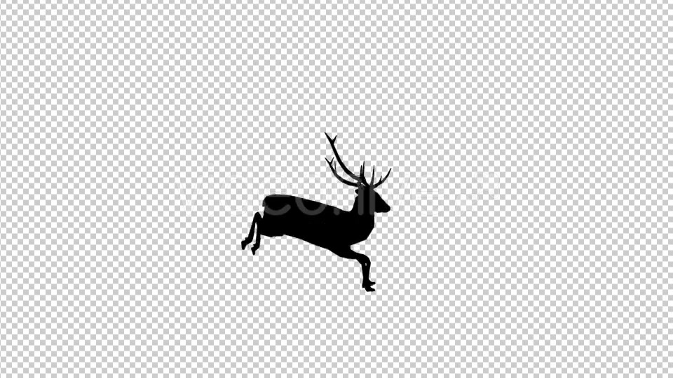 Stag Run Silhouette Videohive 19882041 Motion Graphics Image 4