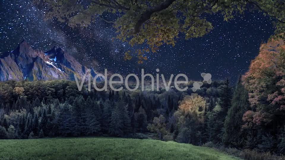 Starry Sky in the Wild Videohive 20132844 Motion Graphics Image 1