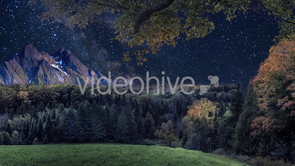 Starry Sky in the Wild Videohive 20132844 Motion Graphics Image 2