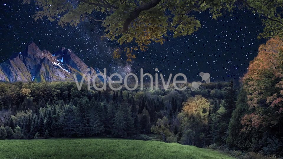 Starry Sky in the Wild Videohive 20132844 Motion Graphics Image 3