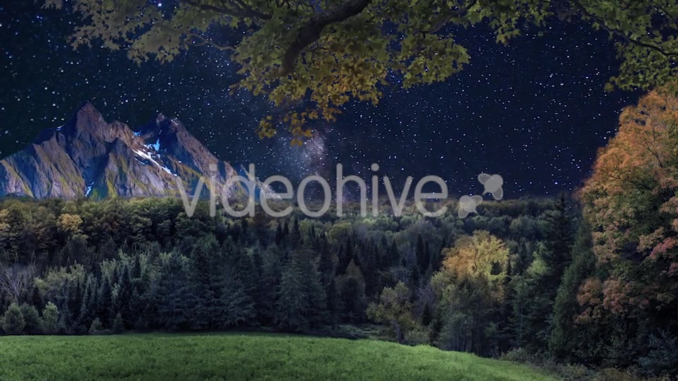 Starry Sky in the Wild Videohive 20132844 Motion Graphics Image 4