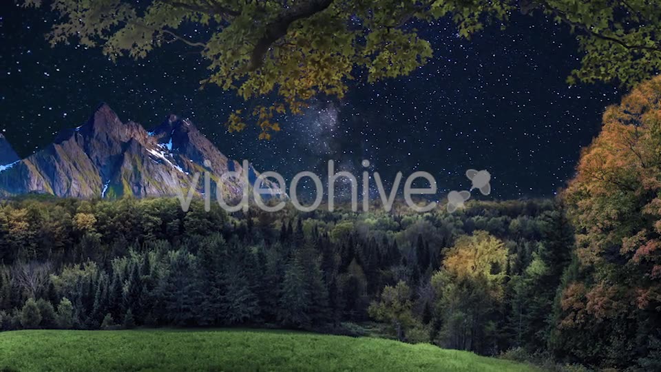 Starry Sky in the Wild Videohive 20132844 Motion Graphics Image 6