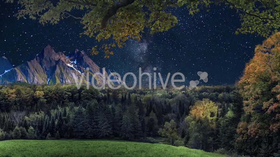 Starry Sky in the Wild Videohive 20132844 Motion Graphics Image 7