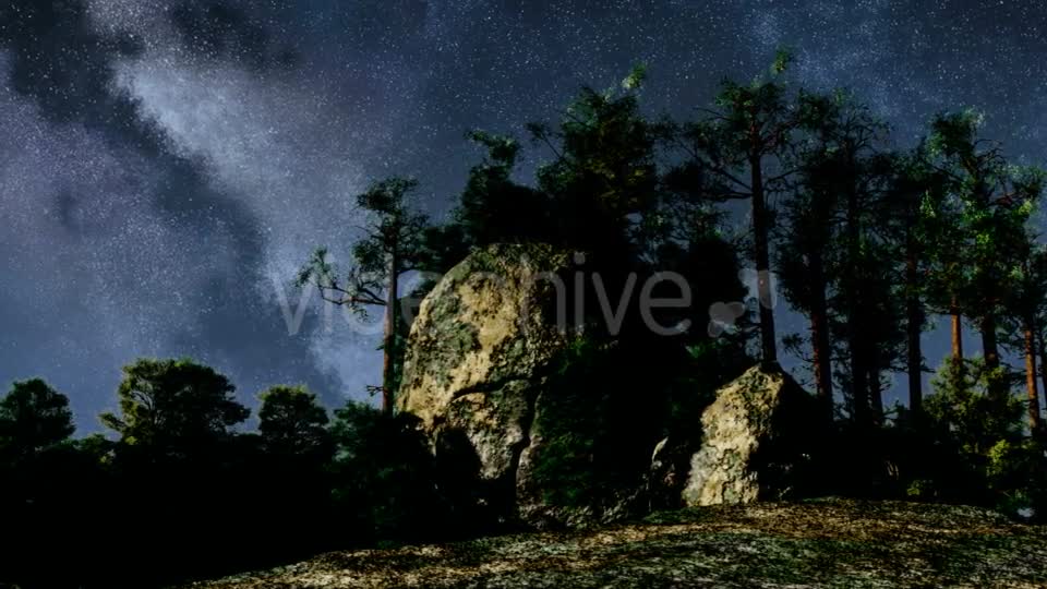 Stars and Silhouetted Pine Trees Videohive 19182605 Motion Graphics Image 1