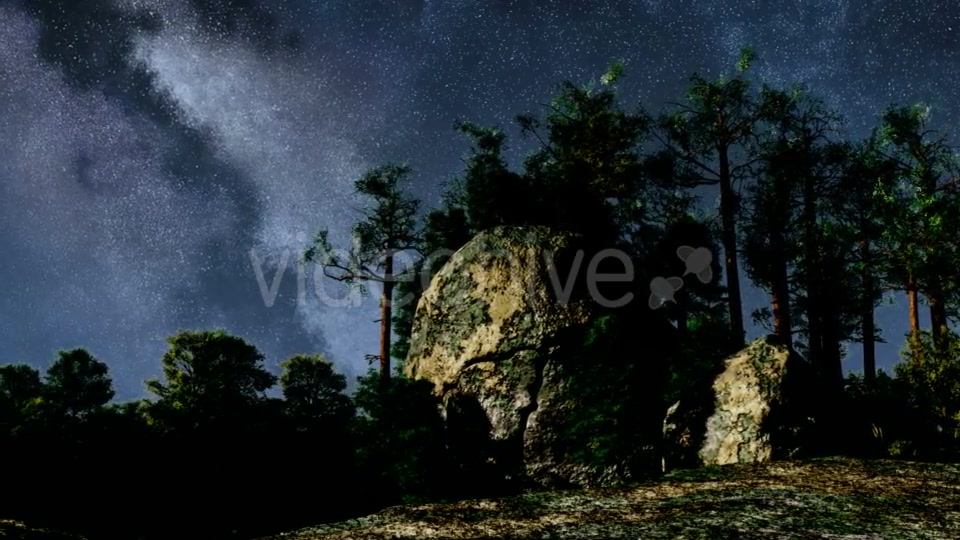 Stars and Silhouetted Pine Trees Videohive 19182605 Motion Graphics Image 3