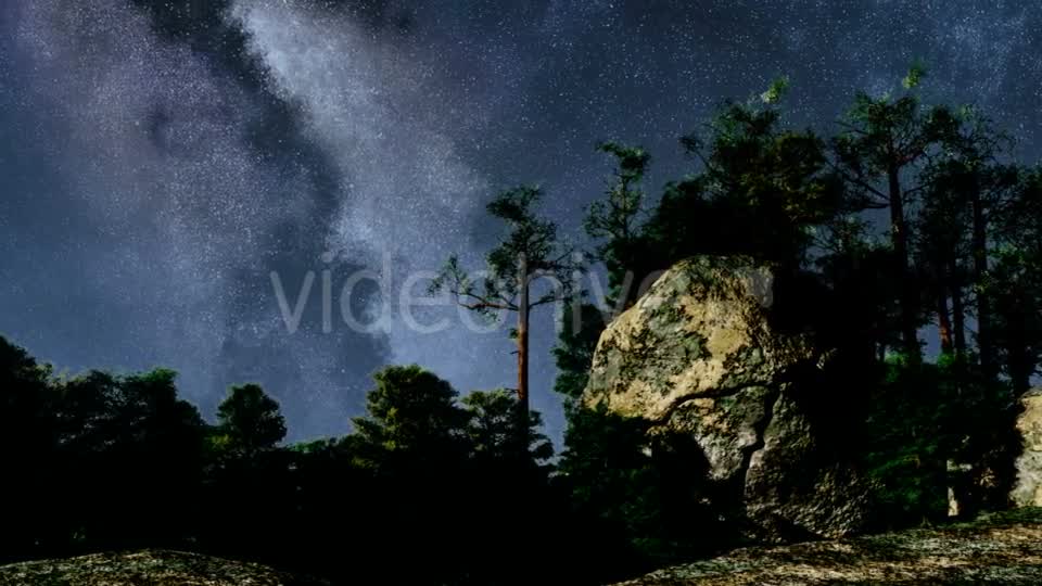 Stars and Silhouetted Pine Trees Videohive 19182605 Motion Graphics Image 8