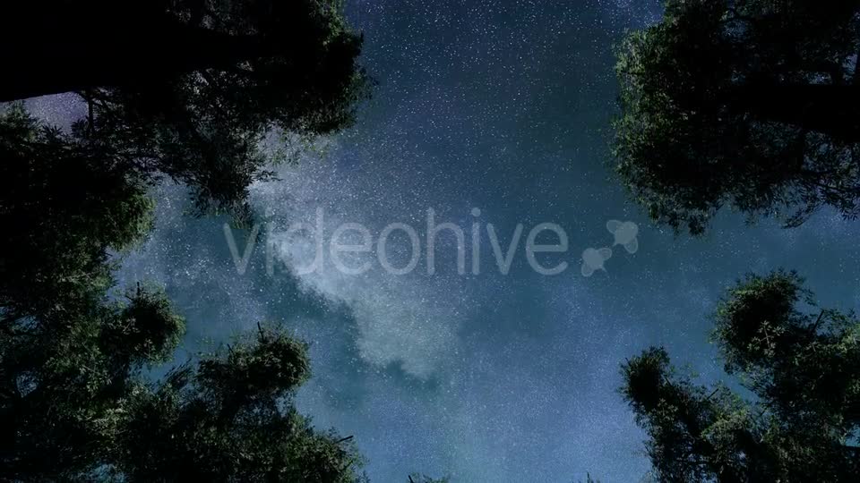 Stars And Silhouetted Pine Trees Videohive 15784495 Motion Graphics Image 1