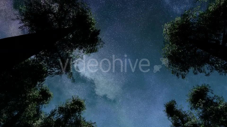 Stars And Silhouetted Pine Trees Videohive 15784495 Motion Graphics Image 2